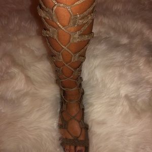 Steve Madden gladiator sandals